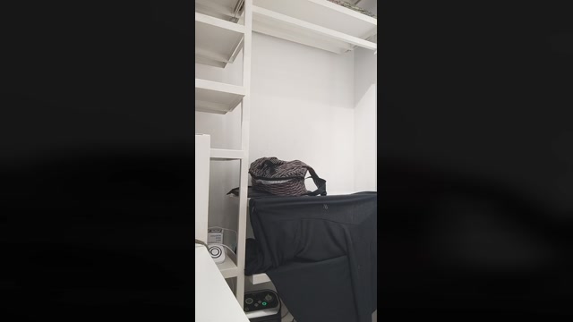 DahliaSegreta  11-04-2023